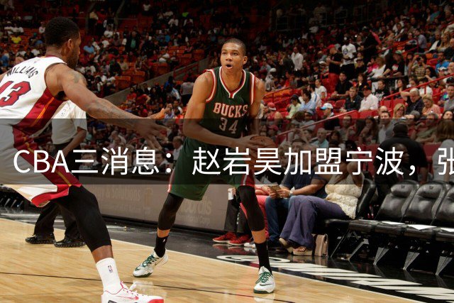 CBA三消息：赵岩昊加盟宁波，张文逸完成续约，山东队国内引援结束